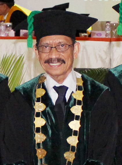 Prof. Dr. H. Musafir Pababbari, M.Si.